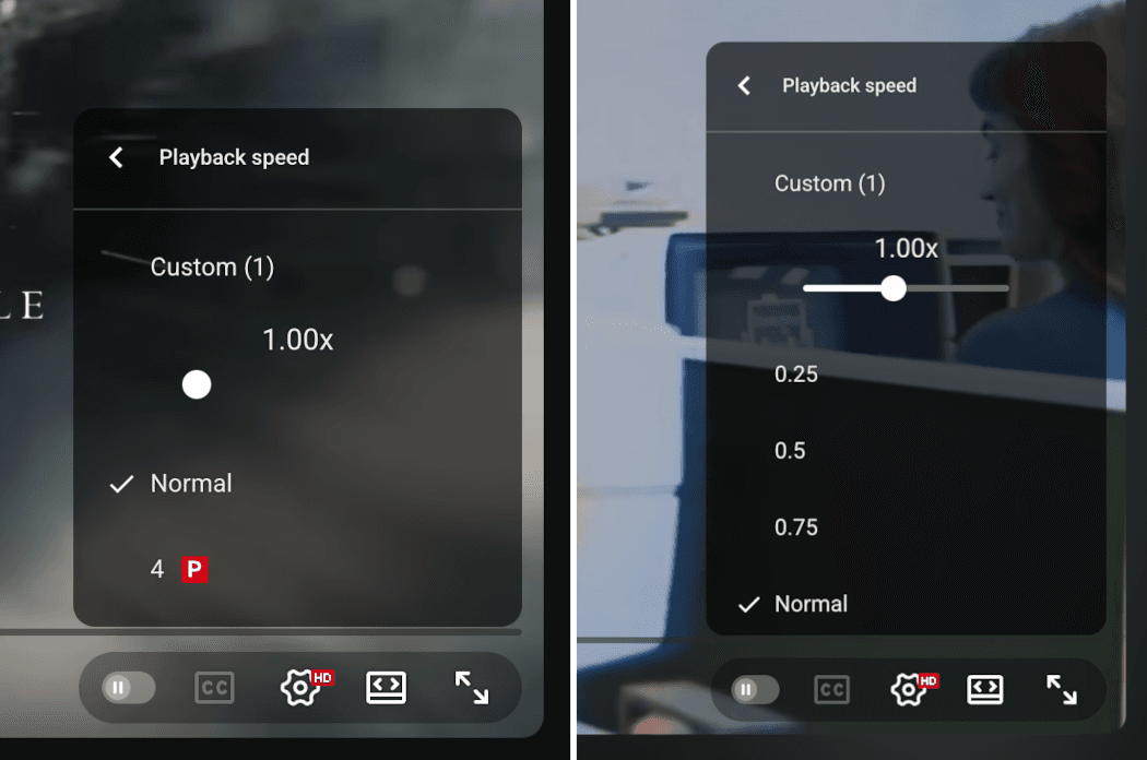 Playback Controls